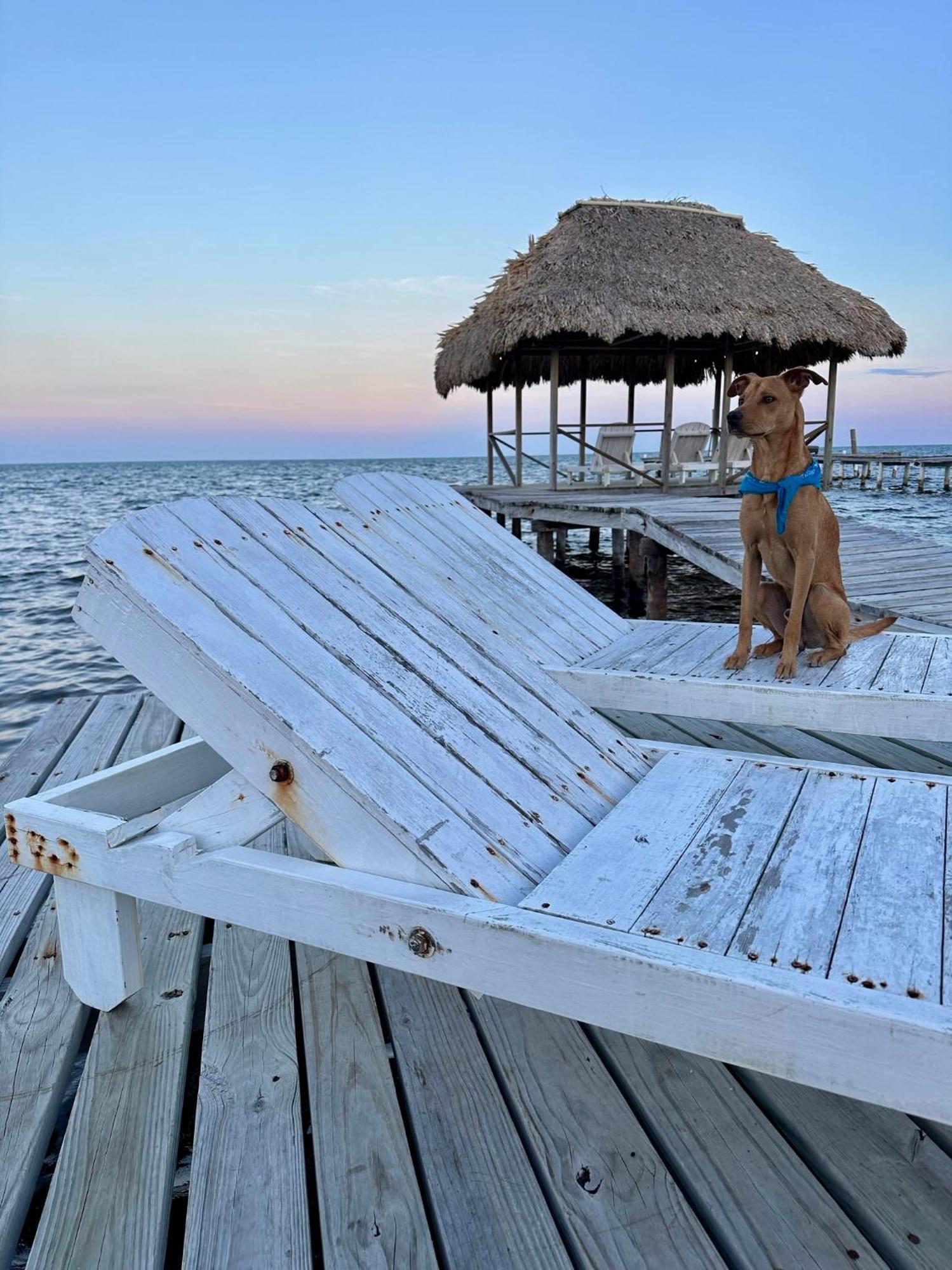 Barefoot Beach Belize Caye Caulker Eksteriør billede